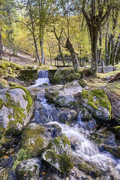 Mountain stream in Autumn. Manteigas, Serra da da Estrela Nature Park. Portugal