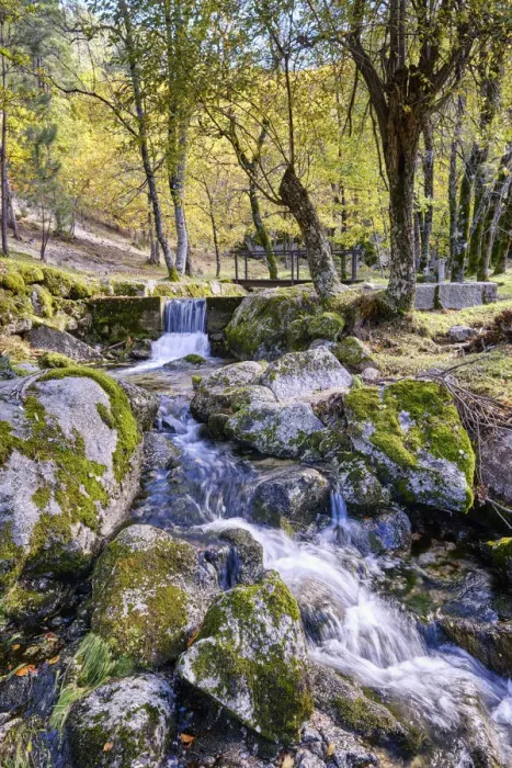 Framed Print : Mountain stream in Autumn. Manteigas, Serra da da Estrela Nature Park. Portugal Framed Print : Mountain stream in Autumn. Manteigas, Serra da da Estrela Nature Park. Portugal