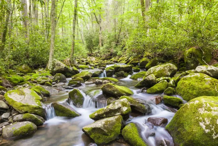 Framed Print : Mountain stream along Kephart Trail, Great Smoky Mountains National Park, North Carolina Framed Print : Mountain stream along Kephart Trail, Great Smoky Mountains National Park, North Carolina