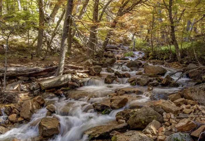 Framed Print : Mountain Stream on the Trail to Refugio Frey, Nahuel Huapi National Park, Rio Negro Framed Print : Mountain Stream on the Trail to Refugio Frey, Nahuel Huapi National Park, Rio Negro