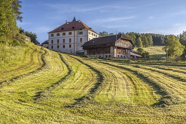 Mowed meadows in Lengmoos am Ritten, South Tyrol, Italy