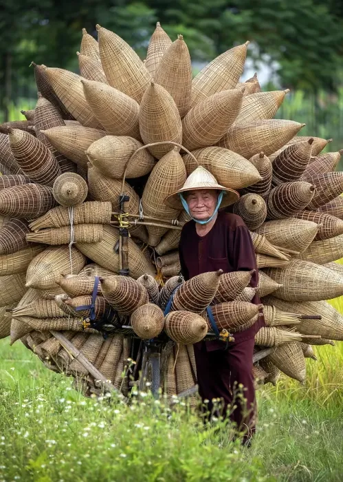 Framed Print : Mr Luong Son Bac, legendary maker of traditional bamboo fish traps, Thu Sy Village, near Hanoi, Vietnam Framed Print : Mr Luong Son Bac, legendary maker of traditional bamboo fish traps, Thu Sy Village, near Hanoi, Vietnam