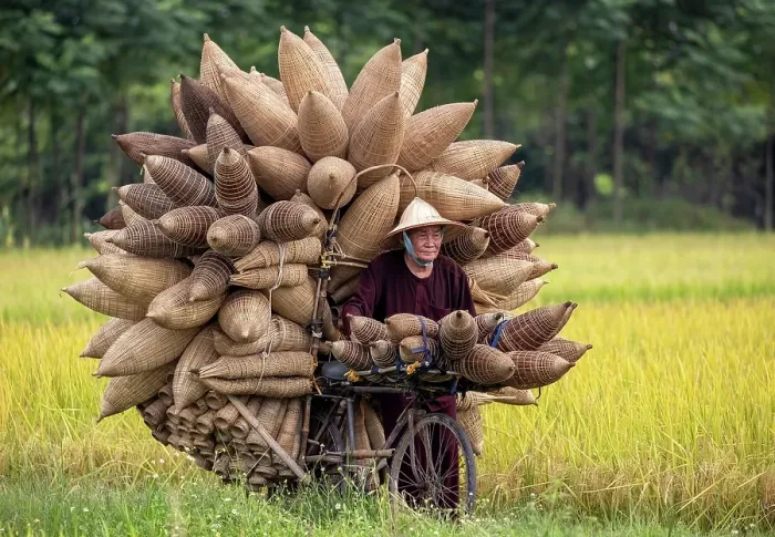 Framed Print : Mr Luong Son Bac, legendary maker of traditional bamboo fish traps, Thu Sy Village, near Hanoi, Vietnam Framed Print : Mr Luong Son Bac, legendary maker of traditional bamboo fish traps, Thu Sy Village, near Hanoi, Vietnam
