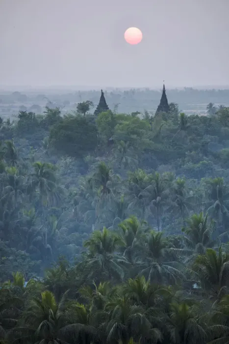 Framed Print : Mrauk-U, Rakhine state, Myanmar. Stupas at sunset with palm trees forest in the foreground Framed Print : Mrauk-U, Rakhine state, Myanmar. Stupas at sunset with palm trees forest in the foreground