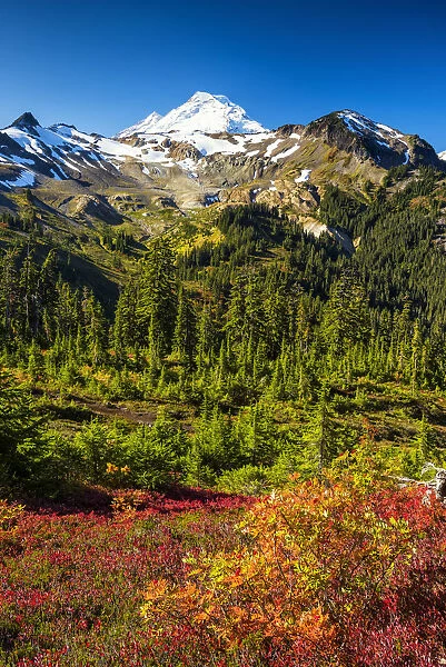 Mt. Baker in Autumn, Mt. Baker-Snoqualmie National Forest, Washington, USA