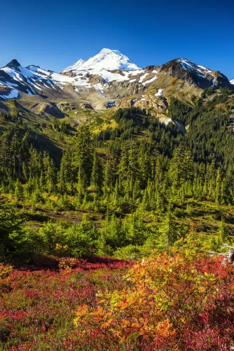 Framed Print : Mt. Baker in Autumn, Mt. Baker-Snoqualmie National Forest, Washington, USA Framed Print : Mt. Baker in Autumn, Mt. Baker-Snoqualmie National Forest, Washington, USA