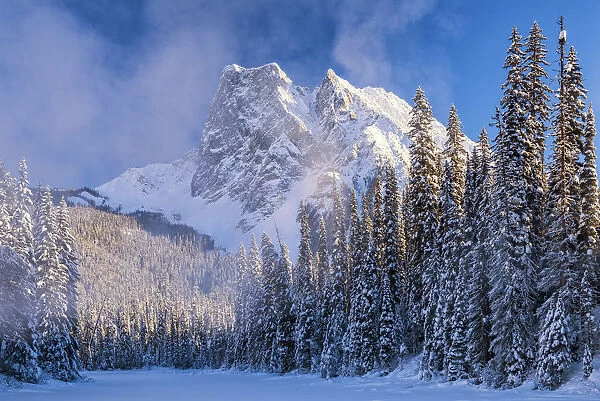 Mt. Burgess & Snow-covered Pine Trees, Yoho National Park, British Columbia, Canada