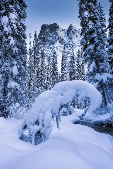 Framed Print : Mt. Burgess in Winter, Yoho National Park, British Columbia, Canada