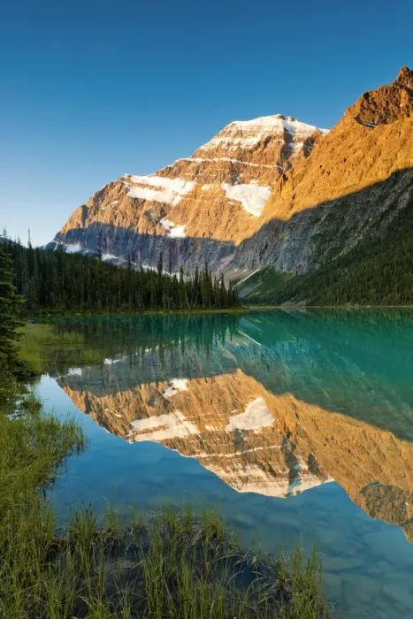 Framed Print : Mt. Edith Cavell Reflecting in Cavell Lake, Jasper National Park, Alberta, Canada Framed Print : Mt. Edith Cavell Reflecting in Cavell Lake, Jasper National Park, Alberta, Canada