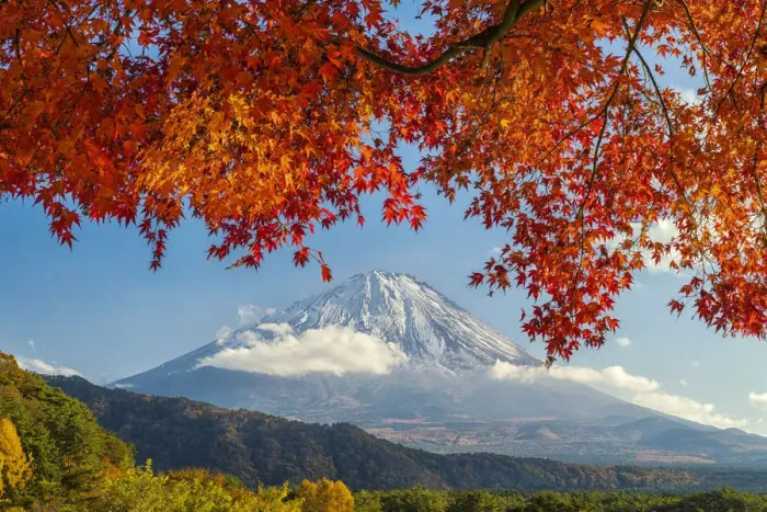 Framed Print : Mt. Fuji in Autumn, Fujinomiya, Shizouka, Honshu, Japan