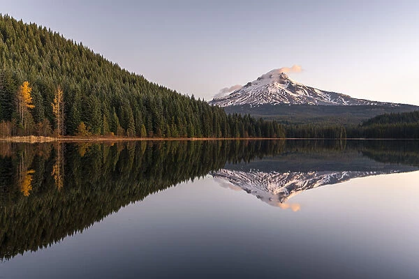 Mt Hood reflecting on Trillium Lake at dawn. Government Camp, Clackamas county, Oregon