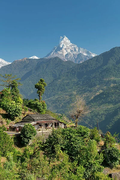 Mt. Machhapuchhare or Fishtail Mountain, Annapurna Range, Nepal, Asia