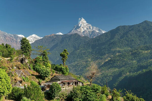 Mt. Machhapuchhare or Fishtail Mountain, Annapurna Range, Nepal, Asia