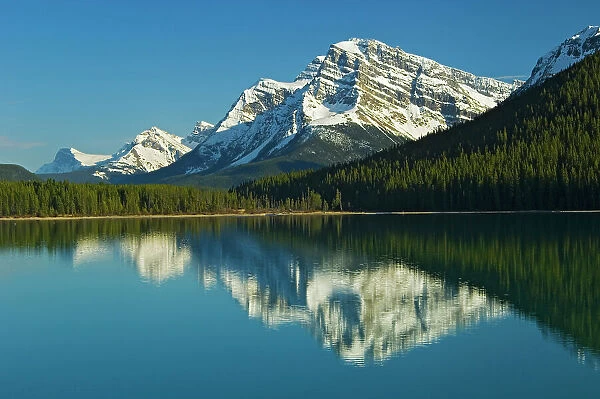 Mt. Patterson (center) reflected in Lower Waterfowl Lake. Icefields Parkway. Banff National Park. Alberta Canada