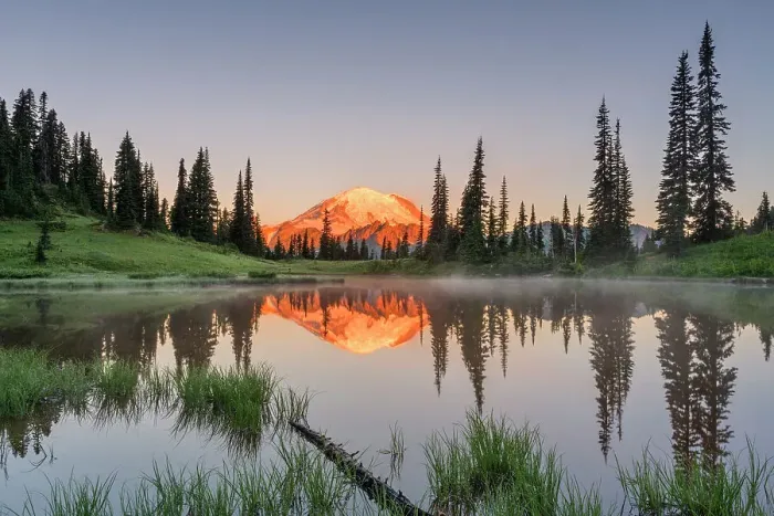 Framed Print : Mt. Rainier reflection in Upper Tipsoo Lake, Nationalpark Mt. Rainier, North West, Washington State, USA