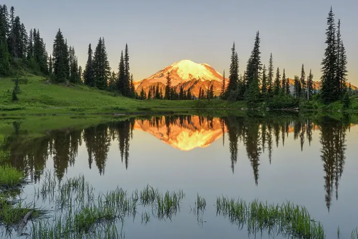 Framed Print : Mt. Rainier reflection in Upper Tipsoo Lake, Nationalpark Mt. Rainier, North West, Washington State, USA Framed Print : Mt. Rainier reflection in Upper Tipsoo Lake, Nationalpark Mt. Rainier, North West, Washington State, USA