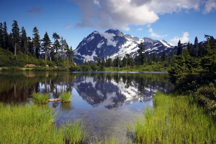 Framed Print : Mt. Shuksan, North Cascades National Park, Washington, USA