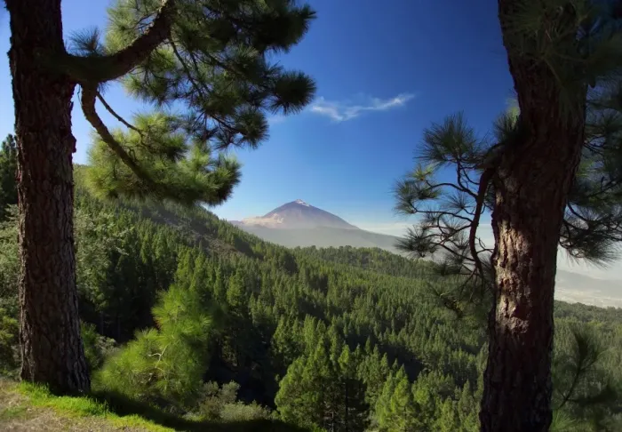 Framed Print : Mt. Teide, Tenerife, Canary Islands, Spain