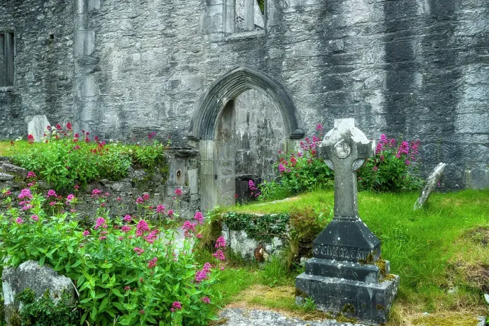 Framed Print : Muckross Abbey ruins and gravestones, Killarney National Park, Killarney, Ring of Kerry, Co. Kerry, Ireland, Europe Framed Print : Muckross Abbey ruins and gravestones, Killarney National Park, Killarney, Ring of Kerry, Co. Kerry, Ireland, Europe