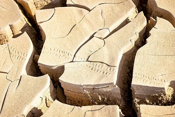 Mud Cracks, Skeleton Coast National Park, Namibia