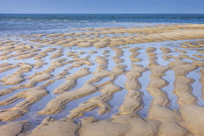 Framed Print : Mudflat landscape in the Ellenbogen nature reserve, Sylt, Schleswig-Holstein, Germany Framed Print : Mudflat landscape in the Ellenbogen nature reserve, Sylt, Schleswig-Holstein, Germany