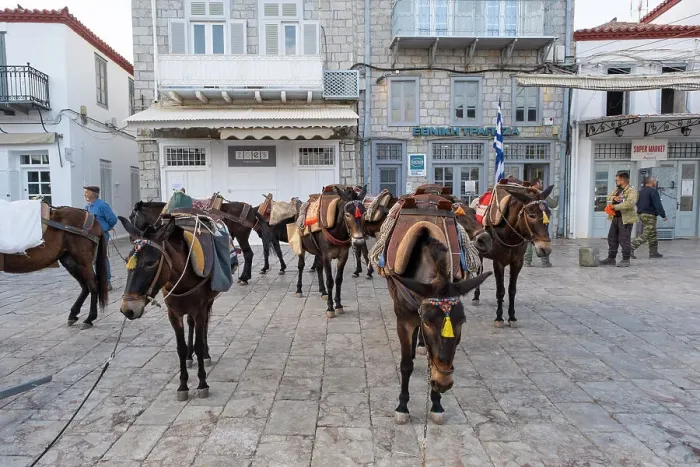 Framed Print : Mules / horses at the Harbour of Hydra Town, Hydra (Ydra), Saronic Islands, Greece Framed Print : Mules / horses at the Harbour of Hydra Town, Hydra (Ydra), Saronic Islands, Greece