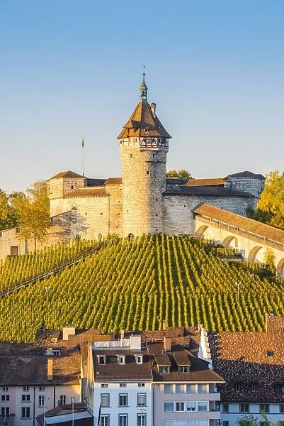 Munot fortress and vineyards, Schaffhausen, Switzerland