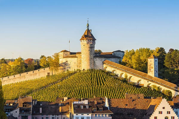 Munot fortress and vineyards, Schaffhausen, Switzerland