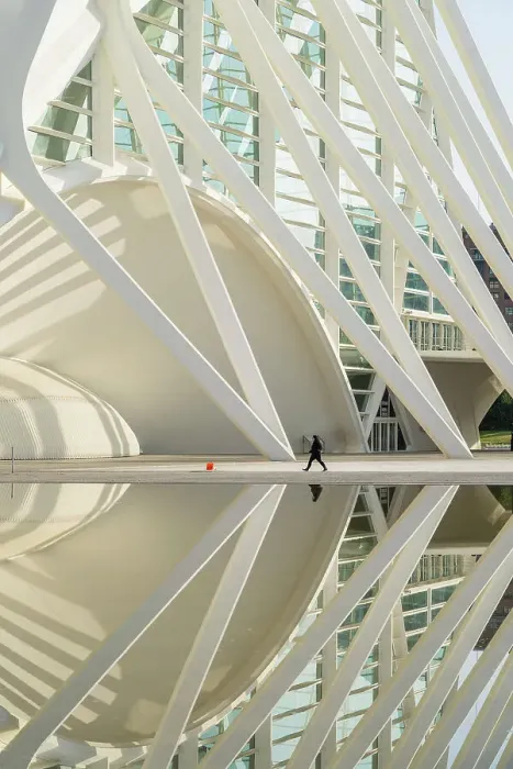Framed Print : The Museu de les Ciencies Principe Felipe or the The Science museum of Principe Felipe at the City of Arts and Sciences, Valencia, Spain Framed Print : The Museu de les Ciencies Principe Felipe or the The Science museum of Principe Felipe at the City of Arts and Sciences, Valencia, Spain