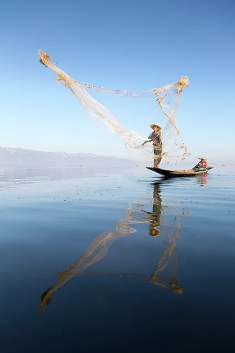 Framed Print : Myanmar, Burma, Shan, Fisherman casting his net on Inle Lake Framed Print : Myanmar, Burma, Shan, Fisherman casting his net on Inle Lake
