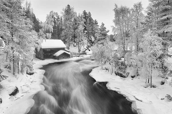 Myllykoski in winter, Kitka River, Kuusamo, Finland