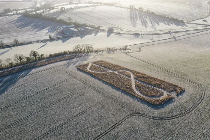 Framed Print : Mysterious crop pattern in a Wiltshire field near West Kennet Long Barrow, Wiltshire, England. Winter (February) 2023 Framed Print : Mysterious crop pattern in a Wiltshire field near West Kennet Long Barrow, Wiltshire, England. Winter (February) 2023