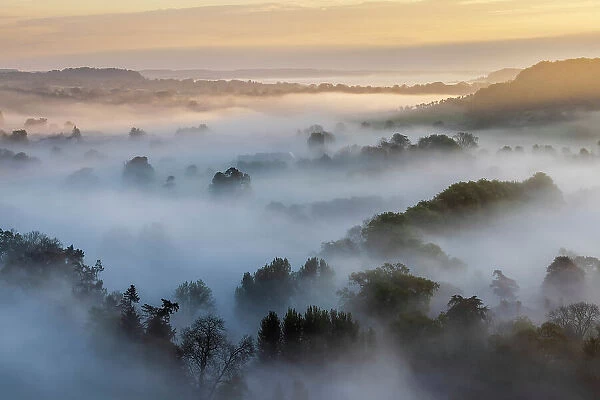 Nadder Valley and Charlton Down at dawn from Melbury Hill, Cranborne Chase, Dorset, England, UK