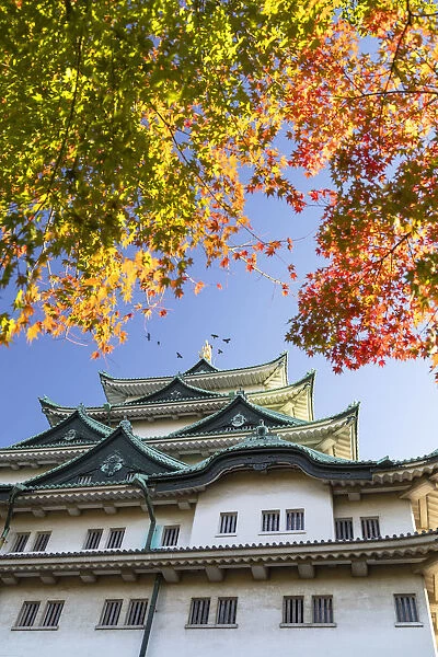 Nagoya Castle, Nagoya, Japan