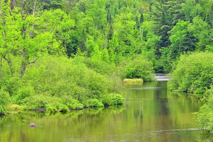 Framed Print : Namekagon River shoreline, St. Croix National Scenic Riverway, Wisconsin Minnesota state line, USA Framed Print : Namekagon River shoreline, St. Croix National Scenic Riverway, Wisconsin Minnesota state line, USA
