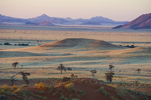 Namib desert, Namibia, Africa. Petrified dunes at sunset