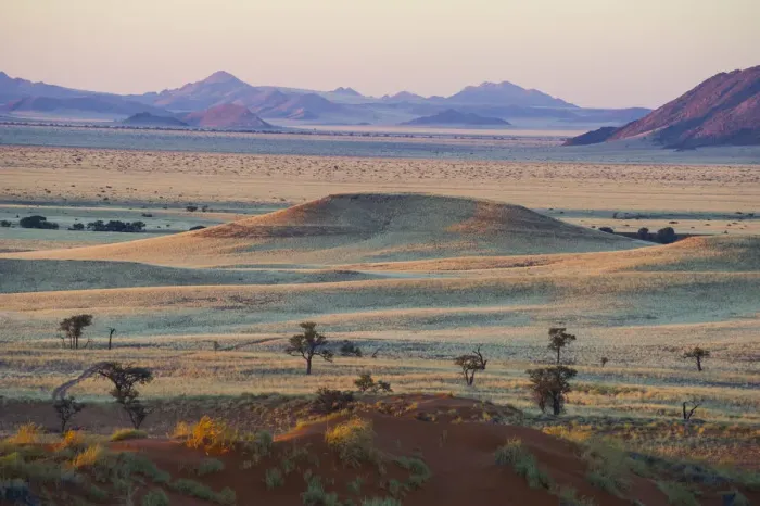 Framed Print : Namib desert, Namibia, Africa. Petrified dunes at sunset