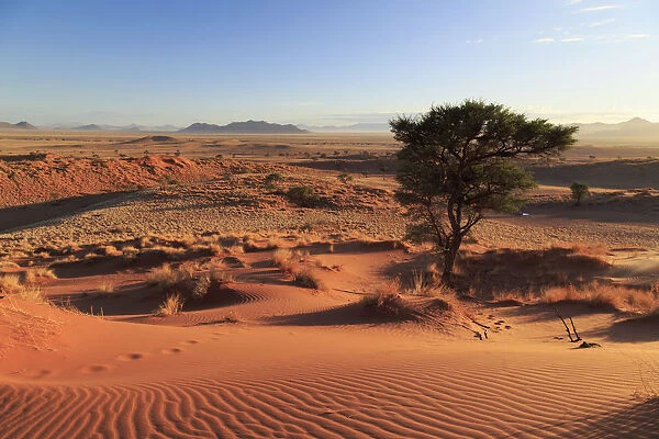 Namibia, Namib Naukluft National Park