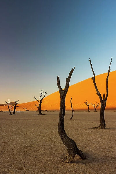Namibia, Namib Naukluft National Park, Sossussvlei, Deadvlei clay pan