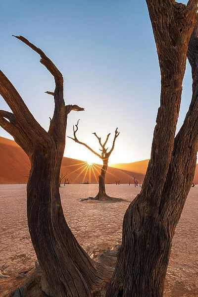 Namibia, Namib Naukluft National Park, Sossussvlei, Deadvlei clay pan