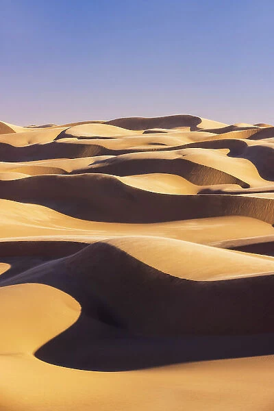 Namibia, Walvis Bay, Namib desert sand dunes reaching the ocean