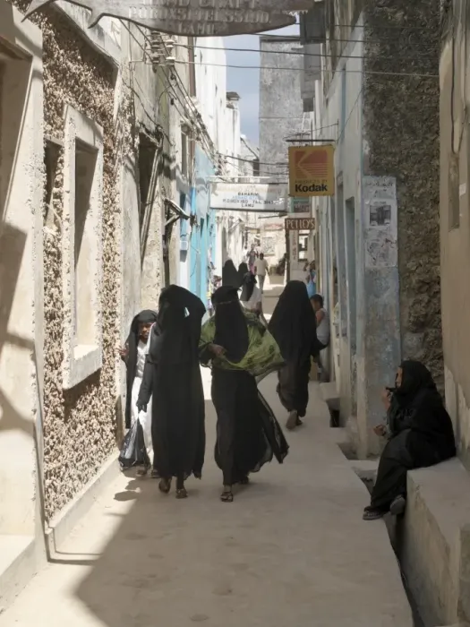 Framed Print : One of the narrow shopping streets in Lamu town