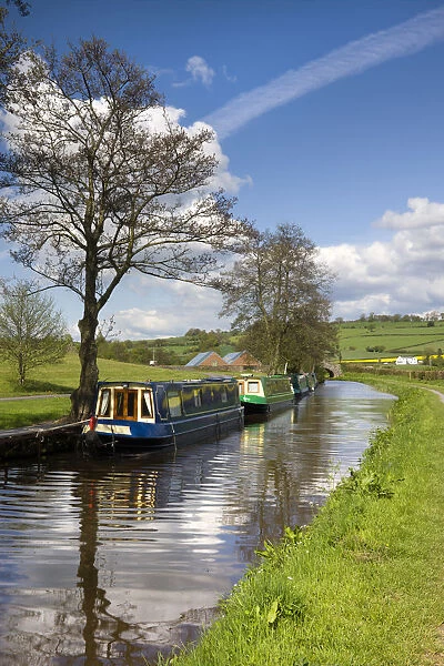 Narrowboats moored on the Monmouthshire and Brecon Canal near Pencelli, Brecon Beacons
