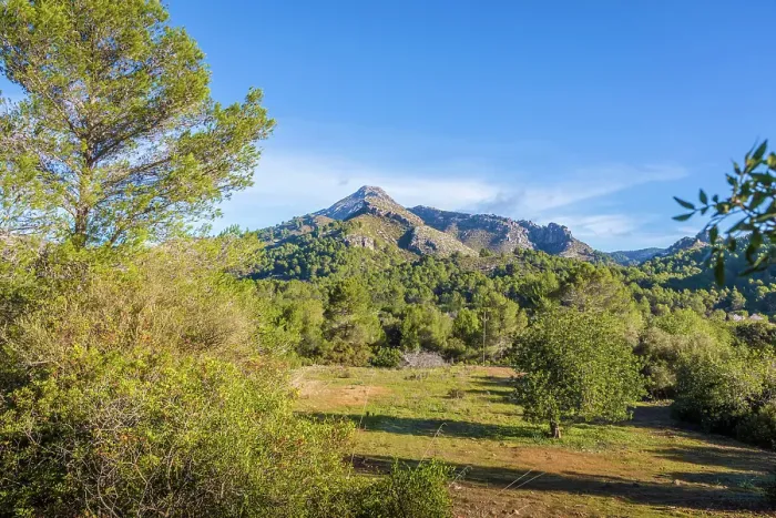 Framed Print : Natural landscape between Es Capdella and Finca Publica Galatzo, Mallorca, Balearic Islands, Spain Framed Print : Natural landscape between Es Capdella and Finca Publica Galatzo, Mallorca, Balearic Islands, Spain