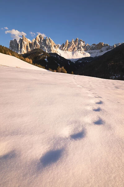 the Natural Park of Puez Geisler in Villn√∂ssertal with some old footprints in the snow and the Geisler Group in the background, Bolzano province, South Tyrol, Trentino Alto Adige, Italy