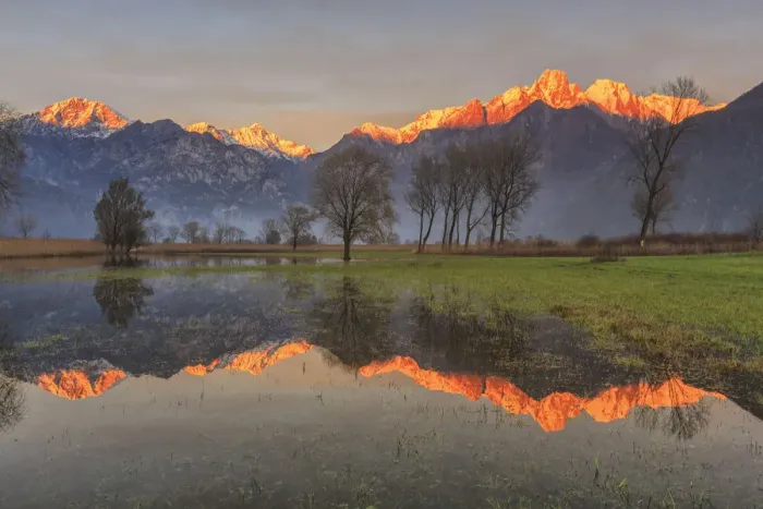 Framed Print : Natural reserve of Pian di Spagna flooded with snowy peaks reflected in the water