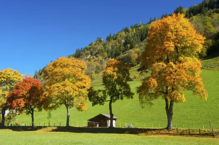 Framed Print : Near Dorfgastein, Gasteiner Valley, Pongau, Salzburger Land, Austria Framed Print : Near Dorfgastein, Gasteiner Valley, Pongau, Salzburger Land, Austria