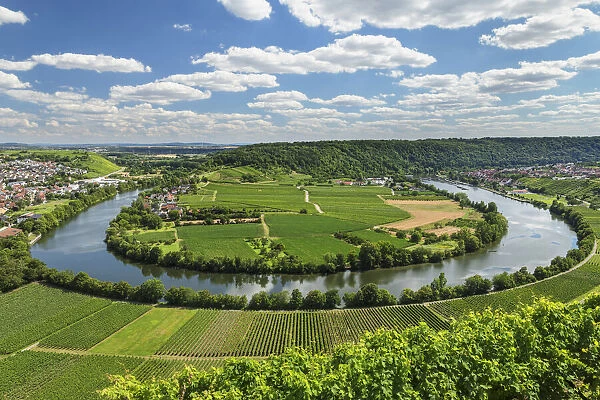 Neckar river bend, Mundelsheim, Neckartal valley, Baden-Wurttemberg, Germany