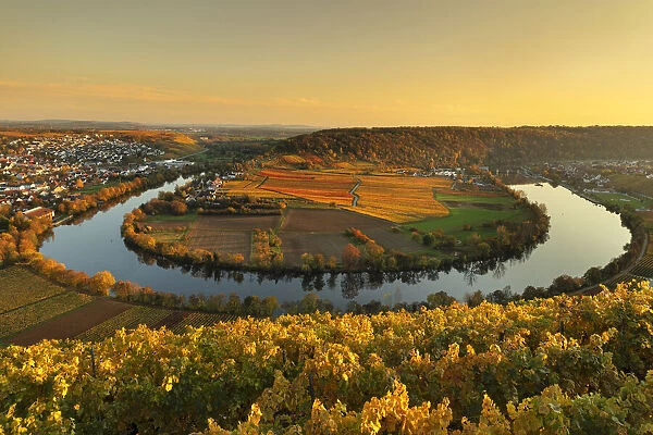 Neckar river bend, Mundelsheim, Neckartal valley, Baden-Wurttemberg, Germany