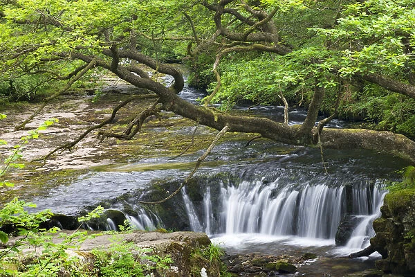 The Nedd Fechan River at Horseshoe Falls, Brecon Beacons National Park, Mid Glamorgan